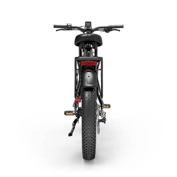 Elcykel LANKELEISI MG800Max, 2000W dubbelmotor, terräng, grå