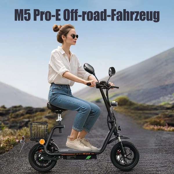 Elscooter TWOFISH M5 Pro-E, 12", 48V 13Ah Batteri, Svart