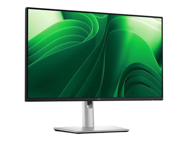 Dell Pro Plus P2425DE - skärm