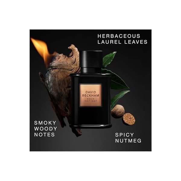 David Bold Instinct EDP - Praktisk, Kvalitet, Hållbar