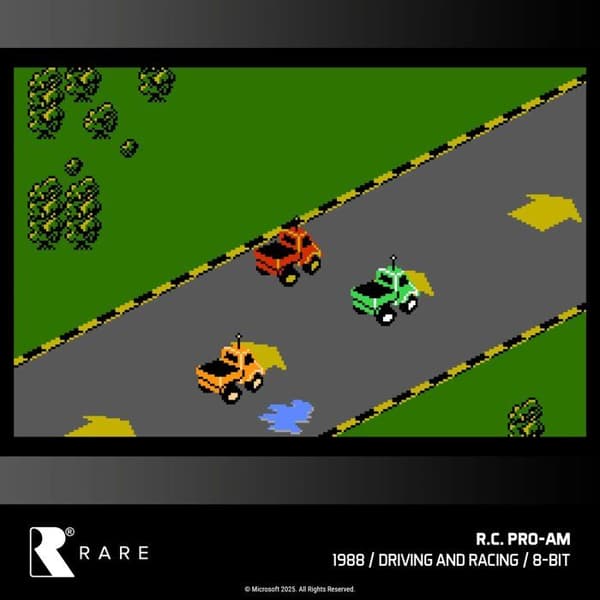 Blaze Evercade - RARE Collection 1 - Kartong nr 48