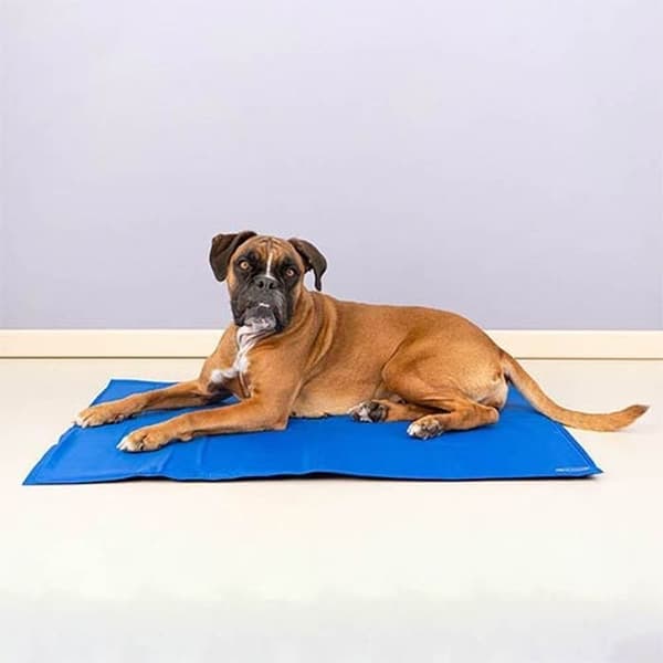 Tapis rafraîchissant IBÁÑEZ STORT REFRESHING TÄNDA MATTOR