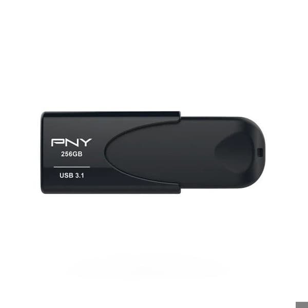 ATTACH 4 3.1 256GB FD256ATT431KK-EF