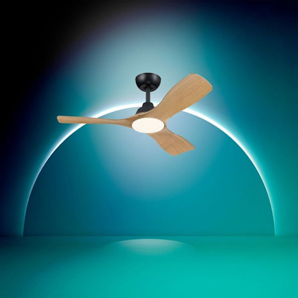 Takfläkt - Philips - Olas - Fasta blad - Diameter 106 cm - Svart/Trä ...