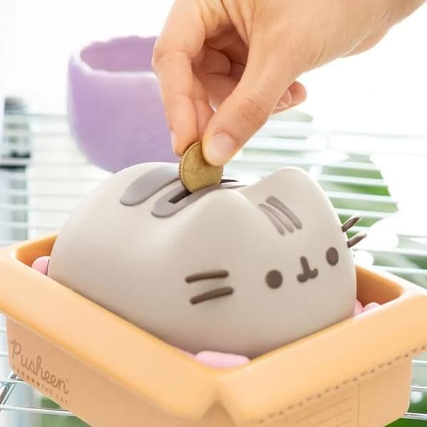 Sparbössa Erik Pusheen
