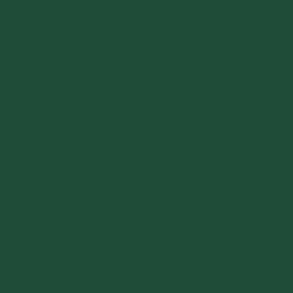 Essence - Gel Nagellack - 13 EMERALD ENERGY