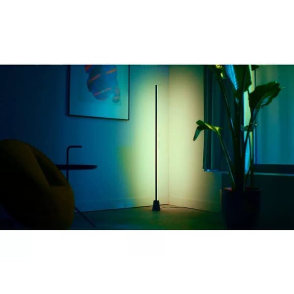 WiZ Bärbar Golvlampa Gradient