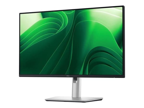 Dell Pro Plus P2425DE - skärm