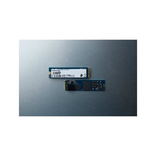 KINGSTON 480Go DC2000B PCIe 4.