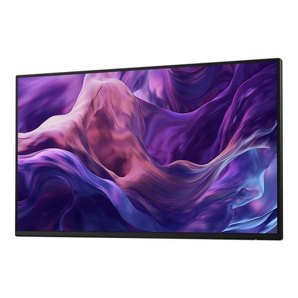 DELL Dell 24 Skärm
