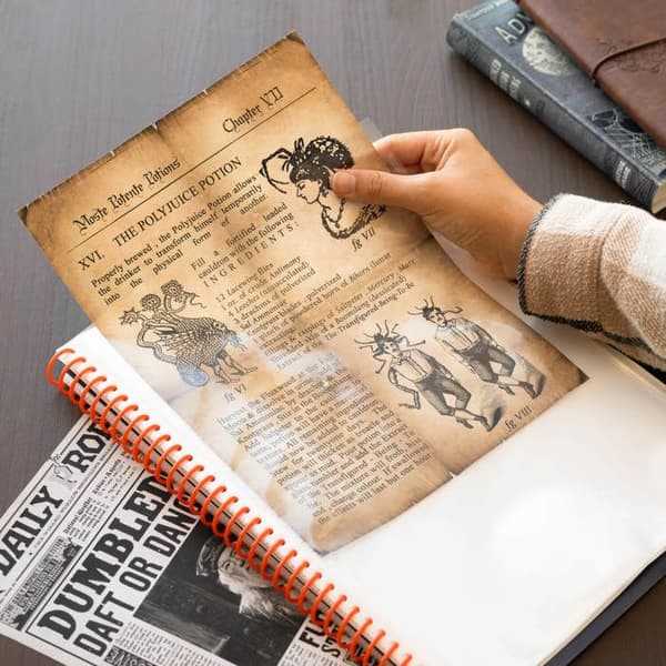 A4-binder - ERIK EDITORES - Harry Potter - 30 plastfickor - Blå - Polypropylen
