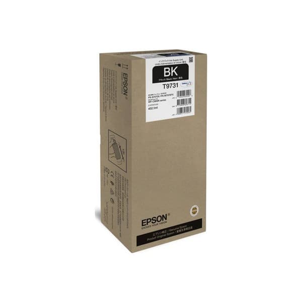 EPSON T9731