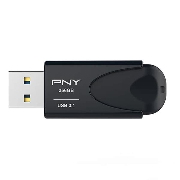 ATTACH 4 3.1 256GB FD256ATT431KK-EF