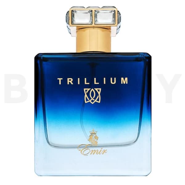 Emir Trillium eau de parfum för män 100 ml