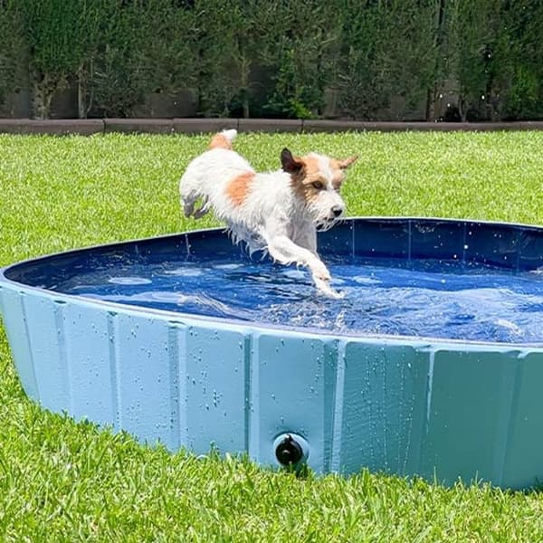 Hundpool PISCINE Ibañez - STORLEK M