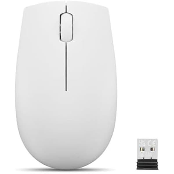 Lenovo Compact Wireless Mouse 300 | Molngrå