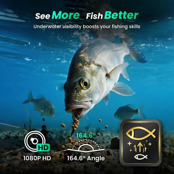 Chasing CF1-25 - Live Underwater Fishing Camera