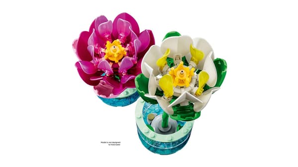 LEGO Botanical Collection Vannliljer