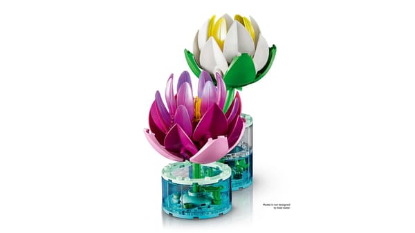 LEGO Botanical Collection Vannliljer