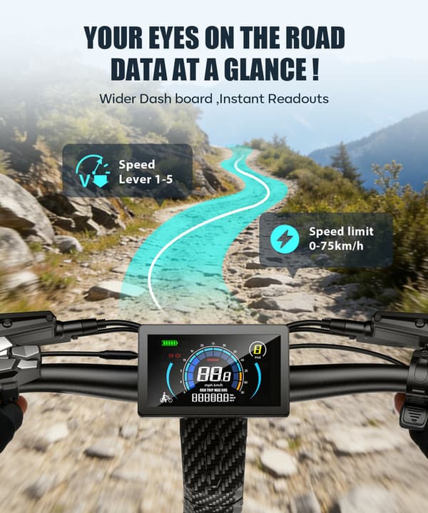 FREEBOY H16 Foldbar E-Scooter 3000W × 2 Dual Drive 60V 30Ah Batteri Styredæmper E-Scooter