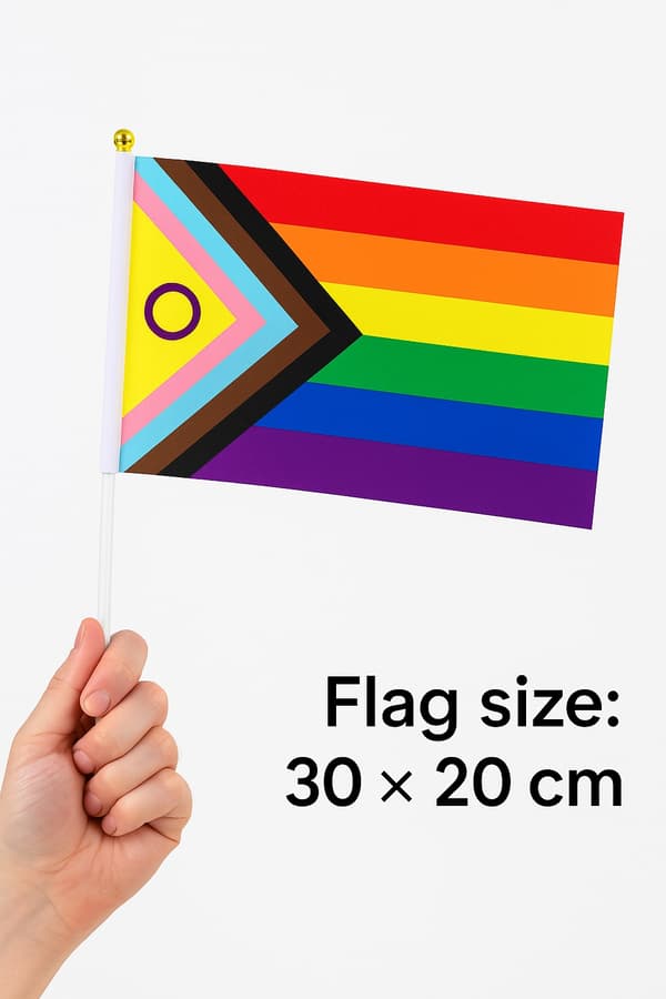 Progress Pride handflagga – 5-pack