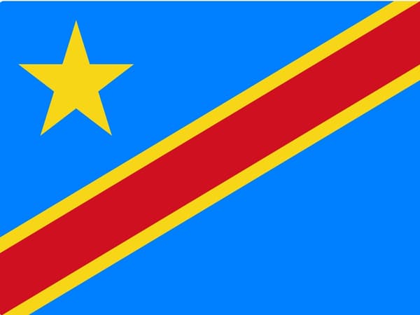 Flag fra Congo -Kinshasas