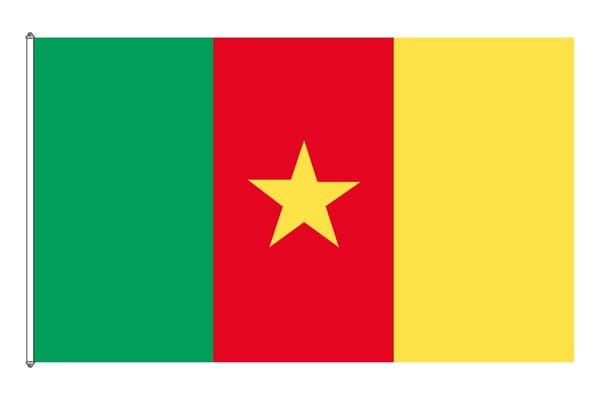 Cameroun flag