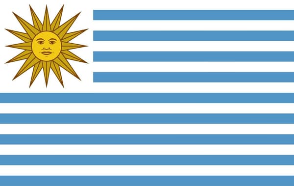 Flagget til Uruguay