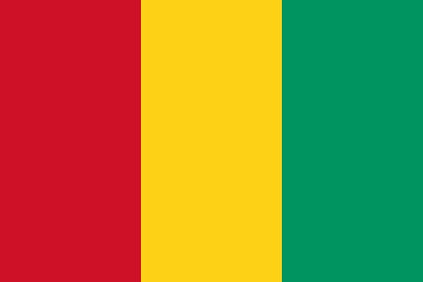 Guinea lippu