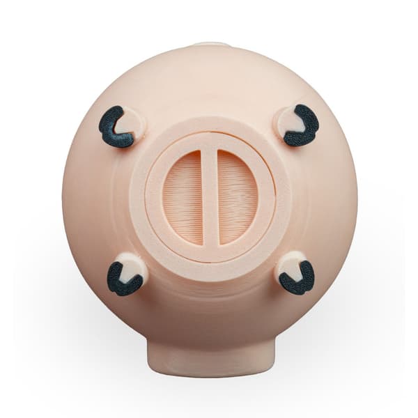 Oinkcome Myntbank | Søt plastsparer