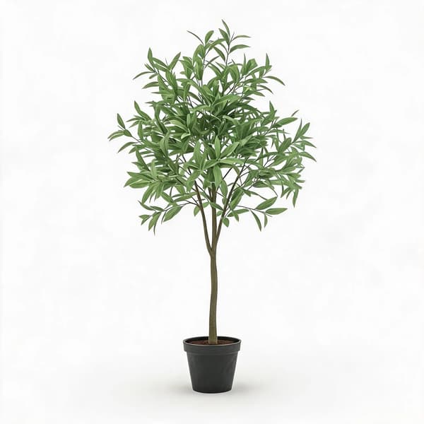 Teko Eukalyptuspuu, Realistinen Suunnittelu, Helppo Hoito,80cm