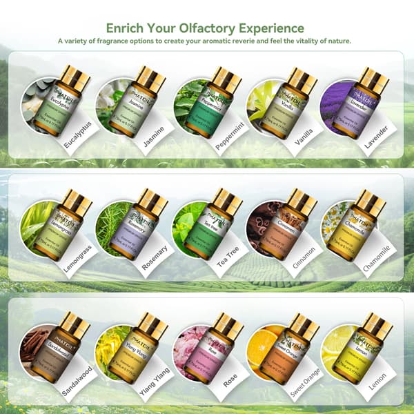 Eterisk Oljeset, 15 Ren Oljor, Perfekt för Diffusorer,5ml, 15st set