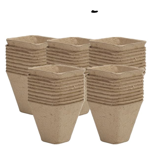 Barnkrukor, Miljövänligt Material, Mångsidig Design,stil-D-50PCS