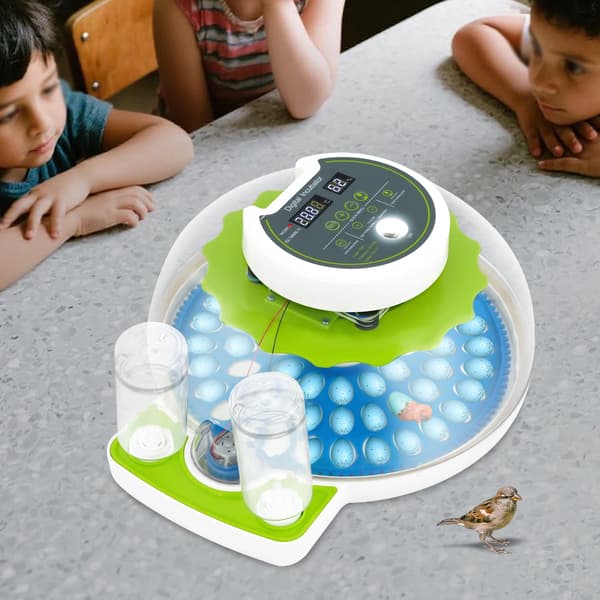 Inkubator, 60 Ägg Kapacitet, LED Digital Display,grön
