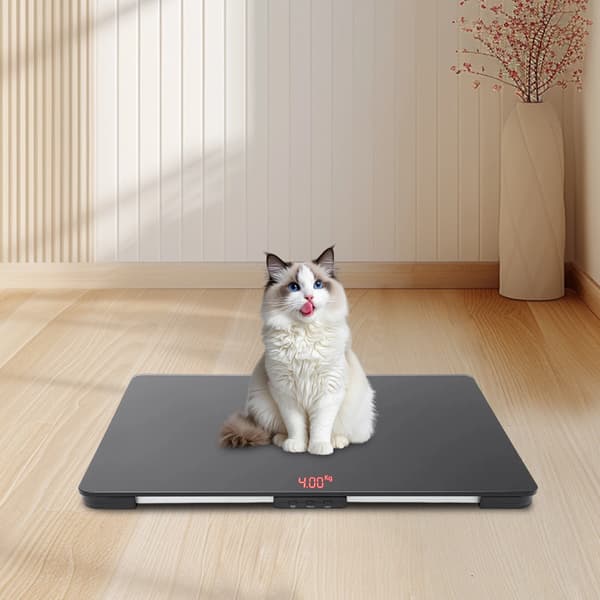 Kæledyrsvægt, LCD-display, 100 kg kapacitet,sort