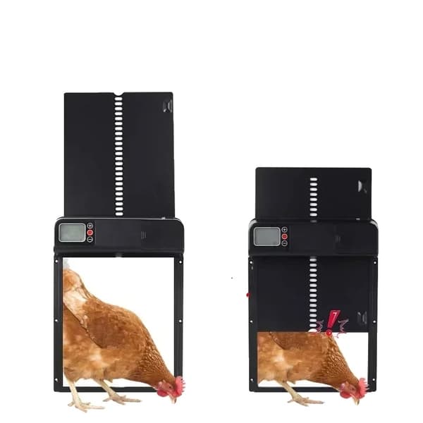 Automatisk hönshusdörr, hållbart material, enkel installation,grön