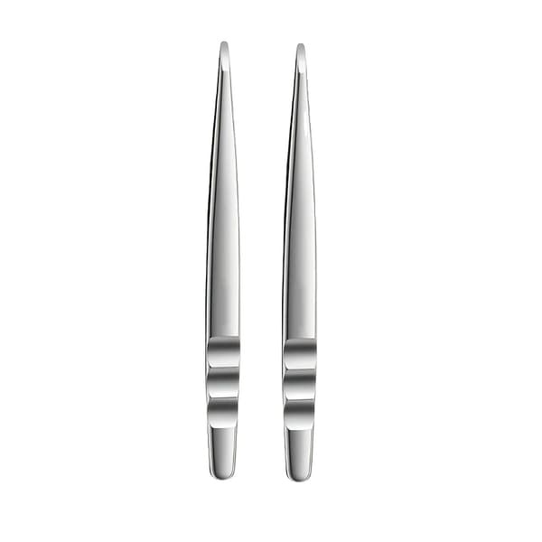 Ögonbrynsplockare, Rostfritt Stål, Precision Grepp,2 PCS