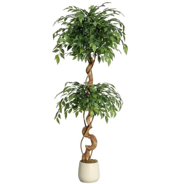 Ficus Træ, Naturalistisk Design, Nem Vedligeholdelse,5FT