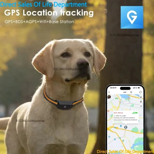 GPS kæledyrstracker, realtids tracking, vandtæt design,blomme