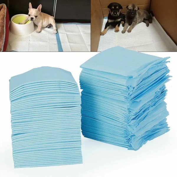 Hundbäddar, Superabsorberande, Hållbar Design,Blå