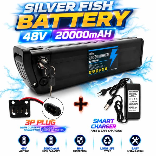 Litiumbatteri, 20Ah kapacitet, inbyggd BMS,48VSilverfish-3PPlug