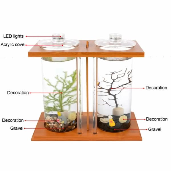 Mini Akvarium, Bambusbase, Dobbelt Glasdesign,træfarve