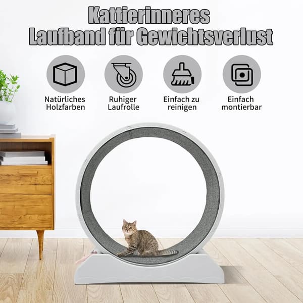 Kattträningshjul, Utformat för Inomhusträning, Säkra Lekfunktioner,GRÅ