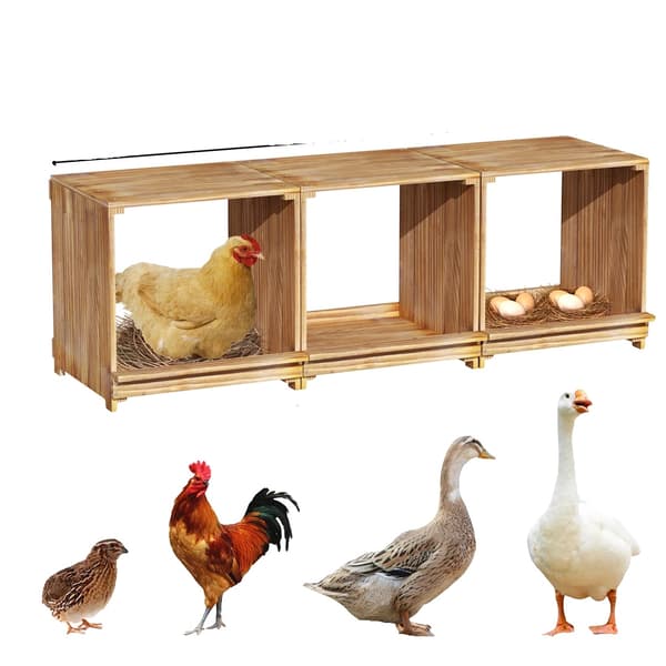 Hönsnäste, Modulär Design, Säker Äggskydd,3-i-1 set