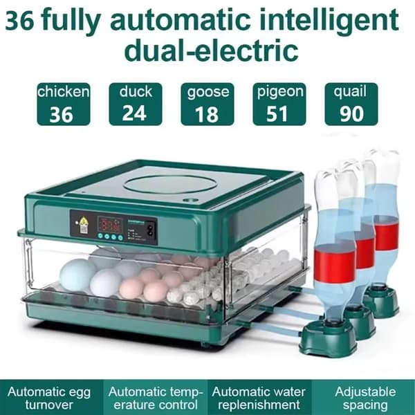 Ägginkubator, Automatisk Temperaturkontroll, Hög Kapacitet Design,36 Ägg