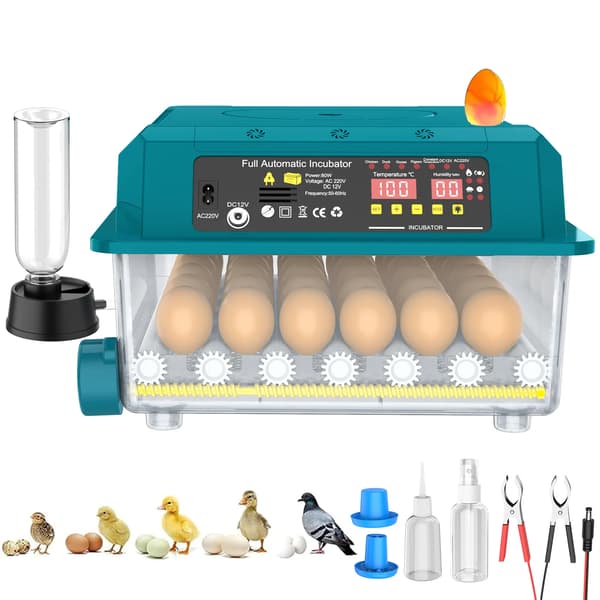 Æggeincubator, 36-æg kapacitet, automatisk klækningsmetoder,36-Egg
