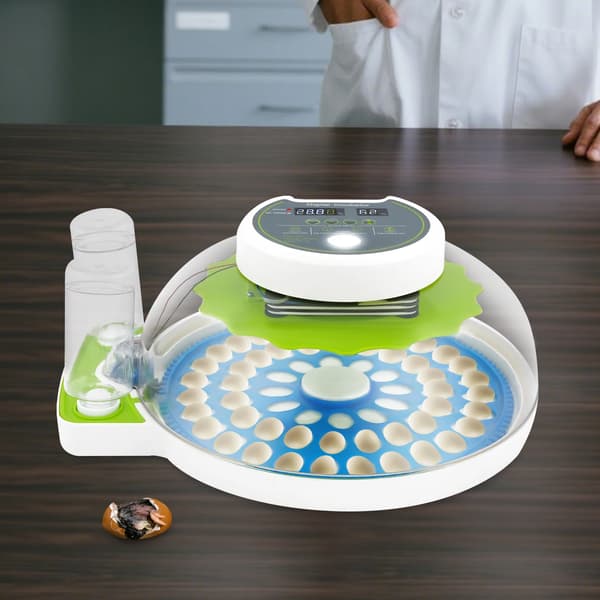 Inkubator, 60 Ägg Kapacitet, LED Digital Display,grön