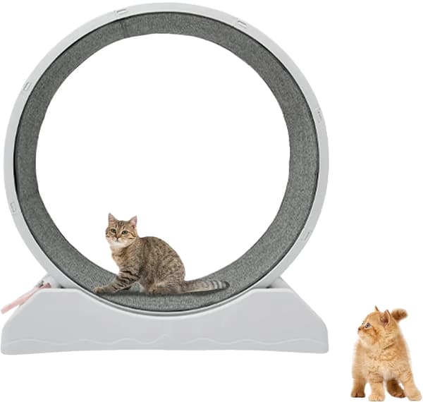 Kattträningshjul, Utformat för Inomhusträning, Säkra Lekfunktioner,GRÅ