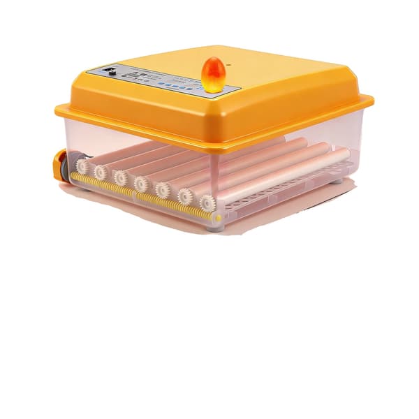 Inkubator, 36 Äggkapacitet, Automatisk Temperaturkontroll,GUL