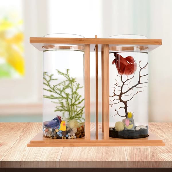 Miniakvarium, Bambubas, Dubbelglasdesign,träfärg